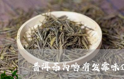 普洱茶为啥有发霉味道/2023092827150