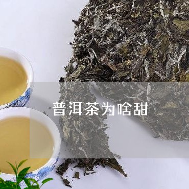 普洱茶为啥甜/2023042896677