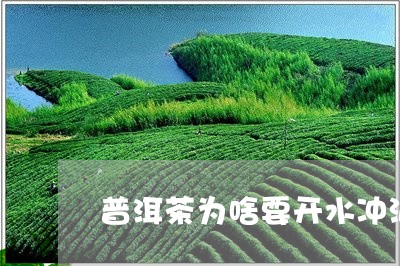 普洱茶为啥要开水冲泡喝/2023081656069