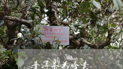 普洱茶为啥贵/2023042663781