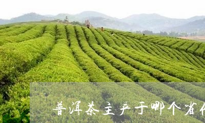 普洱茶主产于哪个省份/2023080150716