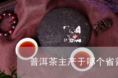 普洱茶主产于哪个省普洱茶买品牌/2023060330715