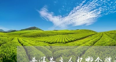 普洱茶主人杯哪个牌子好/2023122089472