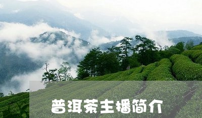 普洱茶主播简介/2023121689694