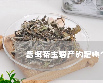 普洱茶主要产的是哪个省/2023102597060