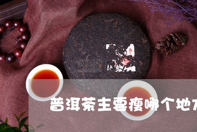 普洱茶主要瘦哪个地方/2023080209389