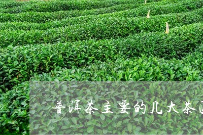 普洱茶主要的几大茶区/2023080364016