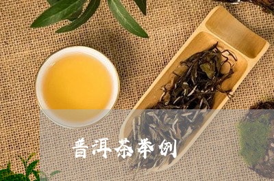 普洱茶举例/2023090603027