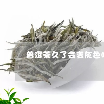 普洱茶久了会变灰色吗能喝吗/2023082903713