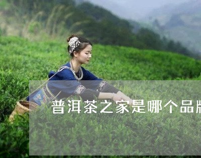 普洱茶之家是哪个品牌/2023062452503