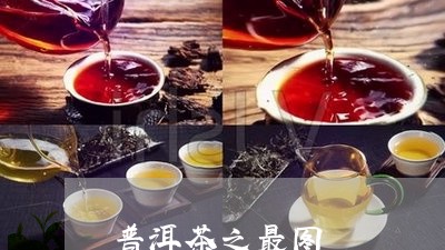 普洱茶之最图/2023042910687