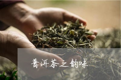 普洱茶之韵味/2023042681244