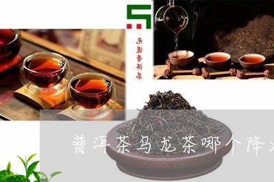 普洱茶乌龙茶哪个降火/2023080301594