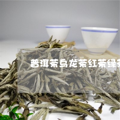 普洱茶乌龙茶红茶绿茶/2023080398271