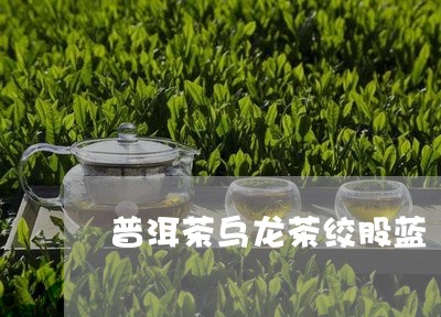 普洱茶乌龙茶绞股蓝/2023091473825