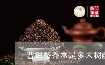 普洱茶乔木是多大树龄的/2023050500593