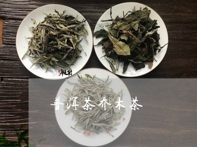 普洱茶乔木茶/2023042937397