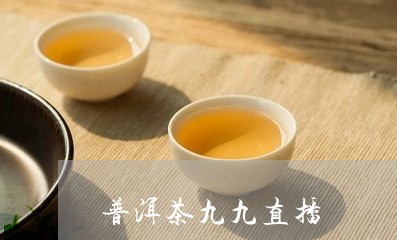 普洱茶九九直播/2023102627251