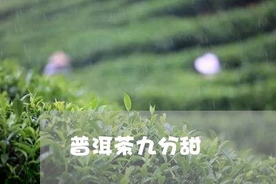 普洱茶九分甜/2023082968373