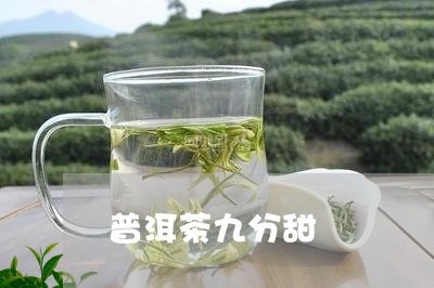 普洱茶九分甜/2023121608474