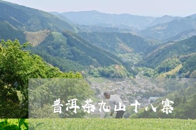 普洱茶九山十八寨/2023120443845