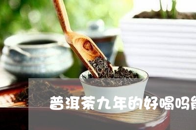 普洱茶九年的好喝吗能喝吗/2023082756928