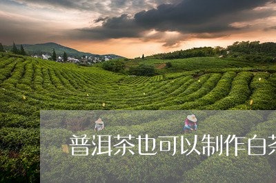 普洱茶也可以制作白茶/2023080220404