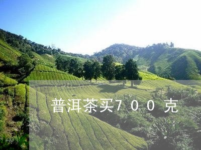 普洱茶买700克/2023120340694