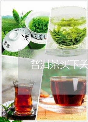 普洱茶买下关常规茶/2023091436037