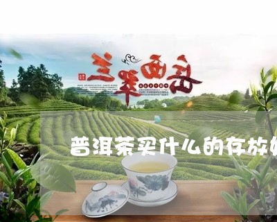 普洱茶买什么的存放好/2023062005039