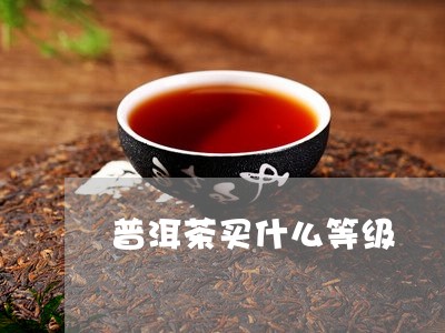 普洱茶买什么等级/2023121641615