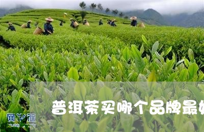 普洱茶买哪个品牌最好/2023080137493