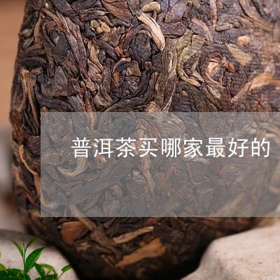 普洱茶买哪家最好的/2023120401605