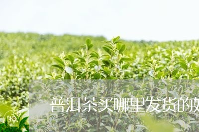 普洱茶买哪里发货的好/2023062129615