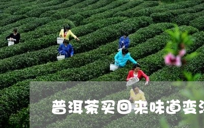 普洱茶买回来味道变淡/2023092976159