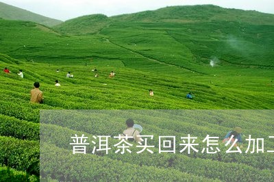 普洱茶买回来怎么加工/2023061949382