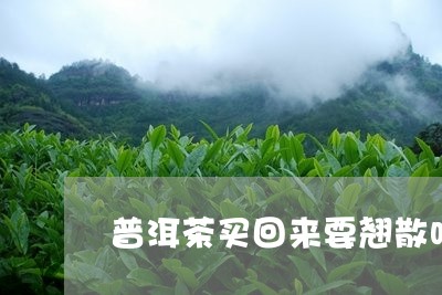 普洱茶买回来要翘散吗/2023092580605