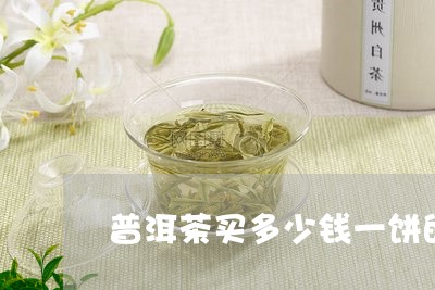 普洱茶买多少钱一饼的合适/2023082966358