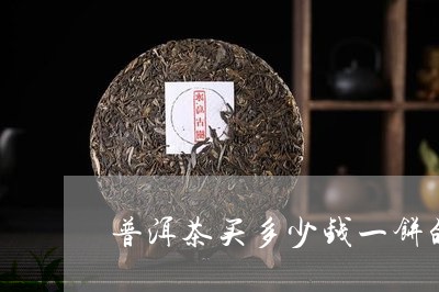 普洱茶买多少钱一饼的合适/2023110694747