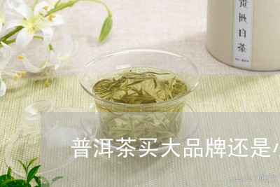 普洱茶买大品牌还是小品/2023102561815