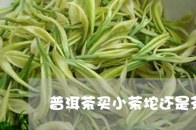 普洱茶买小茶坨还是茶饼好喝/2023121665848