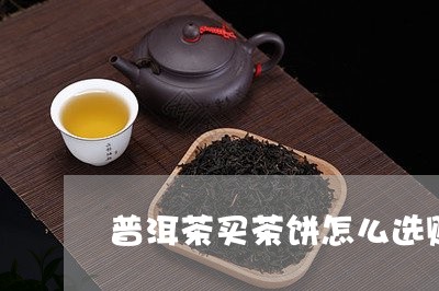 普洱茶买茶饼怎么选购好/2023110169925