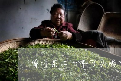 普洱茶二十年可以喝吗/2023092727159