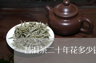 普洱茶二十年花多少钱/2023072206259