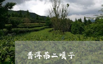 普洱茶二嗄子/2023042820614