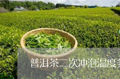 普洱茶二次冲泡温度多少/2023110168461