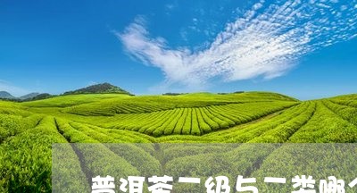 普洱茶二级与二类哪个好/2023121658352