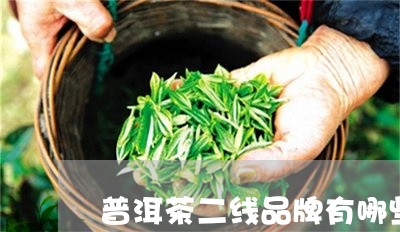 普洱茶二线品牌有哪些/2023092824908