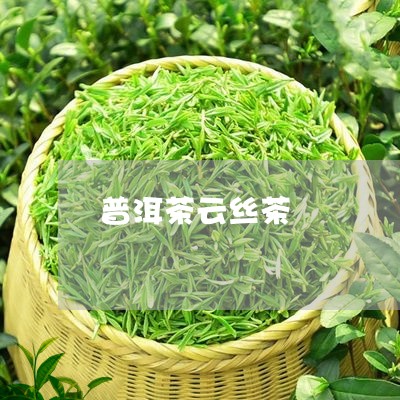 普洱茶云丝茶/2023042836062