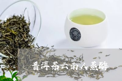 普洱茶云南人蒸酶/2023093017282